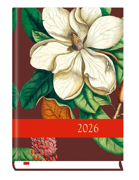 Kalendarz B6 powszechny T-200F-01 Michalczyk i Prokop